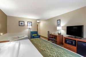 华纳罗宾斯Comfort Inn & Suites - near Robins Air Force Base Main Gate的配有一张床和一台平面电视的酒店客房