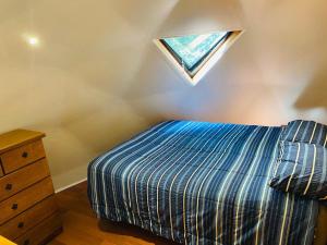 柯纳里佩Domos Hijos del Bosque的一间小卧室,配有一张床和一个天窗