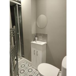 庞特佛雷特Printer's Apprentice的一间带卫生间、水槽和镜子的浴室