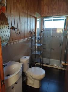 琼奇Agradable y cómoda cabaña con vista espectacular的浴室配有卫生间、盥洗盆和淋浴。