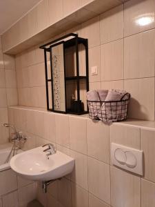 霍茨科波霍尔耶APARTMA JEREBIKA ŠT. 20的一间带水槽和镜子的浴室
