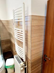 布拉索夫Casa de vis的一间带卫生间和白色散热器的浴室