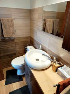 布拉索夫Casa de vis的浴室配有白色水槽和卫生间。
