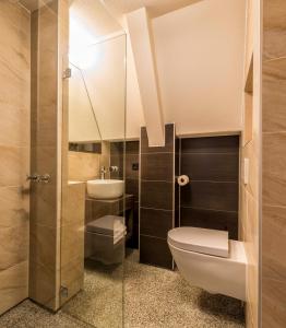 阿姆斯特丹乔丹先生酒店的一间带卫生间和水槽的浴室