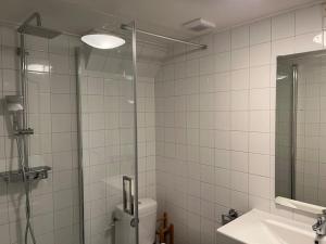 吕伐登Appartement centrum Leeuwarden的带淋浴、卫生间和盥洗盆的浴室