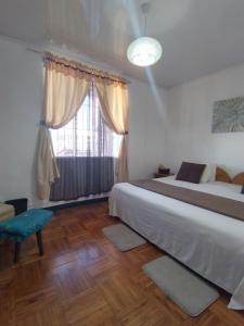 阿拉胡埃拉Lajuela BnB & Hostel的一间卧室设有一张大床和一个窗户。