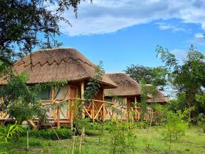 Murchison Falls National ParkMurchison Falls Bamboo Village的茅草屋顶的几间小屋