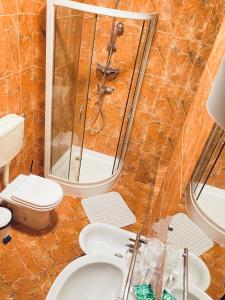 布加勒斯特塔尼亚 - 法兰克福酒店的带淋浴、卫生间和盥洗盆的浴室