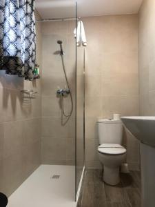 圣多明各德拉RoomConcept Hostel的带淋浴、卫生间和盥洗盆的浴室