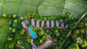 蒂瑟默哈拉默加加蜜蜂雅拉酒店的享有花园空中和游泳池的景致