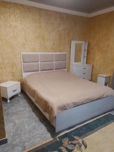 科布列季Bagrationi 54的卧室配有白色大床和梳妆台