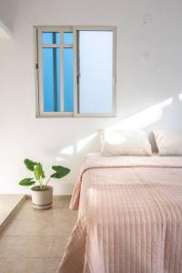切图马尔Casa Medina的一间卧室,配有一张床和一个窗户,并种植了盆栽植物