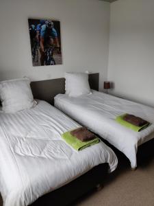 贝拉克尔Flandrien Hotel的两张睡床彼此相邻,位于一个房间里