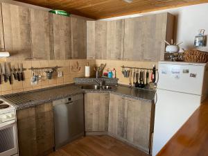 卢捷纳普德克利诺夫琴Chata Helena的厨房配有水槽和冰箱