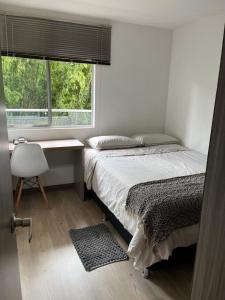 萨瓦内塔Sabaneta 22的一间卧室配有一张床、一张书桌和一个窗户。