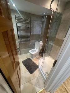 伦敦2 bedroom apartment in HampdenRd的带淋浴和卫生间的浴室