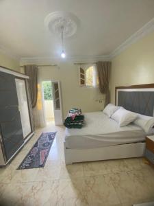 阿斯旺Sunrise shiny Nubian Guest House的一间卧室,卧室内配有一张大床