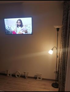 LupeniDelux Flat Straja-Lupeni的客厅的墙上设有平面电视