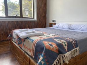 蓬塔阿雷纳斯Hostal Ochen的一间卧室配有一张床铺,床上有毯子