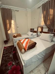 阿斯旺Sunrise shiny Nubian Guest House的带2扇窗户的客房内的2张单人床