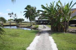 乌图罗阿赖阿特阿岛机场简易别墅度假屋的通往带池塘的房子的路径