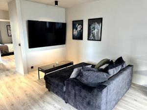 凯夫拉维克Elegant apartment in Keflavík的带沙发和平面电视的客厅