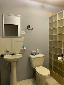 丹格里加北梭鱼酒店的一间带卫生间、水槽和镜子的浴室
