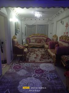 ‘Izbat al QaşrCash and cash only please的客厅配有床、沙发和椅子