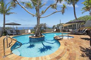 阳光海岸哥斯达新星假日公寓的一座种有树木和棕榈树的游泳池