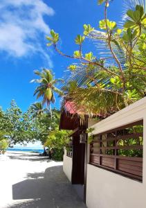 拉斯杜Beach Cottage的海滩上的房子,享有海景