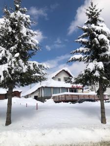 珀尔蒂尼什Red Family Apartments的房子前面的雪地上有两棵树