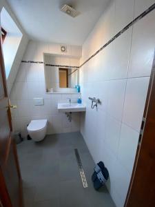 德累斯顿Zimmervermietung Abir的一间带水槽、卫生间和镜子的浴室