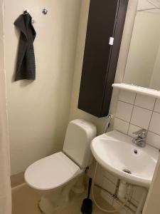 托尔尼奥Style 1BR Appartment in Tornio的浴室配有白色卫生间和盥洗盆。