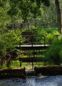 耶夫勒克拉利奥温恩酒店的坐在池塘上桥上的长凳