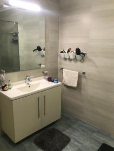 开罗Cozy in Giza 2 bedroom apartment的一间带水槽和镜子的浴室