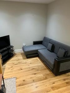 伦敦Lovely 1 bedroom apartment with on street parking的带沙发和电视的客厅