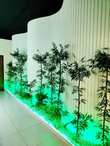 努库斯Asem Hotel的蓝色灯室里的植物展示