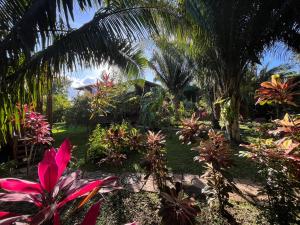UnitedvilleGreen Valley Inn的种植了热带植物和棕榈树的花园