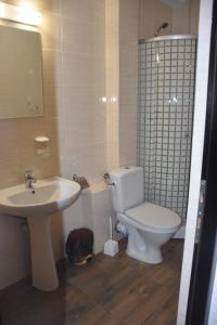 BîrnovaPensiunea Sasha的浴室配有白色卫生间和盥洗盆。