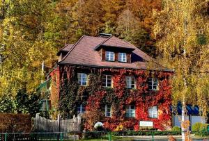 韦耶马克特Gästehaus Grogger的树前常春藤覆盖的房子