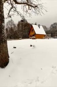 DwernikDwernik Bukowina Bieszczady的树旁雪中的房子
