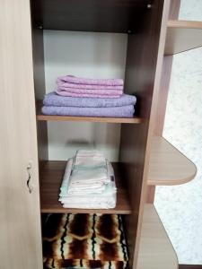 休钦斯克Квартиры的架子上带紫色毛巾的衣柜
