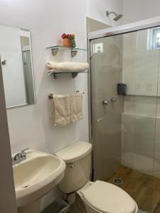 马萨特兰Departamento nuevo con excelente ubicación!的浴室配有卫生间、盥洗盆和淋浴。