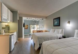 大西洋滩棕榈套房酒店的酒店客房带两张床和厨房