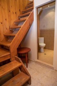 梅尔尼克Стария Чинар Мелник的楼梯,浴室设有厕所