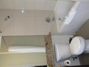 温哥华巴克利酒店 的带淋浴、卫生间和浴缸的浴室