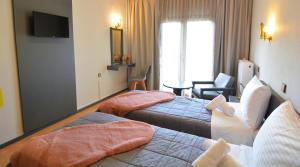 弗洛里纳亚历山大之王酒店的酒店客房设有两张床和电视。