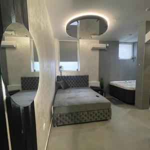 TemerinTEPIĆ Garni Hotel的一间卧室配有一张床和一面大镜子