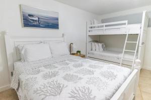 基拉戈SEA MIST - Oceanfront-Lake-Kayak-Paddleboard-Bike的一间卧室配有一张双层床和梯子