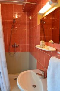 盖雷Hôtel Le Pommeil的一间带水槽和淋浴的浴室